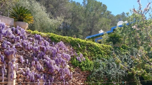 Jardin Mareseta DSC_0617